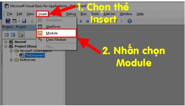 Chọn mục Insert sau đó nhấn chọn Module và nhập code VBA