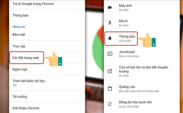 Nhấn chọn vào mục cài đặt trang web sau đó nhấn chọn vào mục thông báo