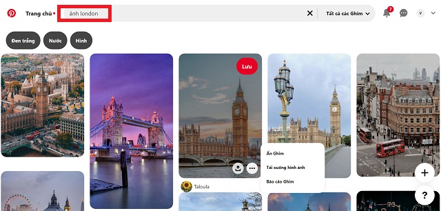 Mở Pinterest và tìm kiếm ảnh