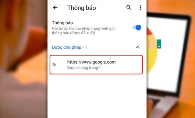 Bạn có thể xem trang web nào đang bị chặn hay không chặn các thông báo